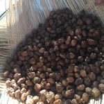 Horchata-Tigernuts