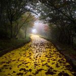 The Abandoned yellow brick road